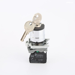 Key Push Button Ce Tuv Certificated 2 Position Key Elevator Key Switch LAY4-BG21