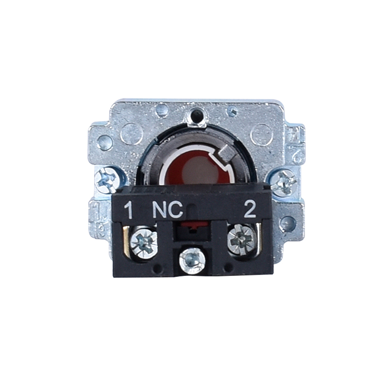 metal flush spring return pushbutton switch with symbol logo LAY5